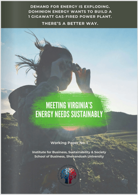 MEETING VIRGINIA'S ENERGY NEEDS 皇冠博彩STAINABLY
| IBSS Working Paper Series, Volume 1
