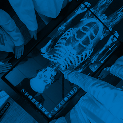 Anatomy & Physiology Image